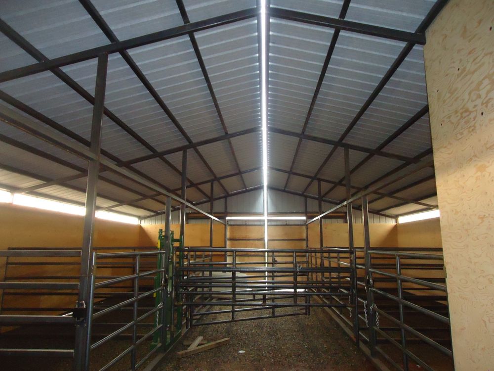 Interior of the calving barn looking the full length with heavy duty bull gate pens down both sides