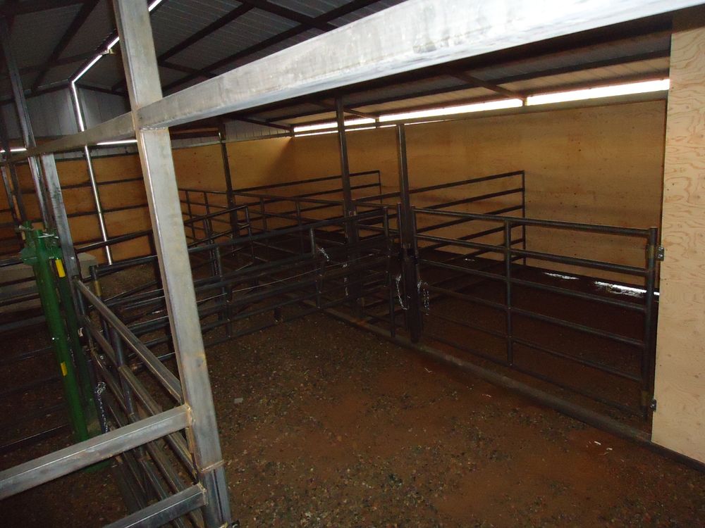 Transparent light panels along the eave line letting daylight into the calving barn interior