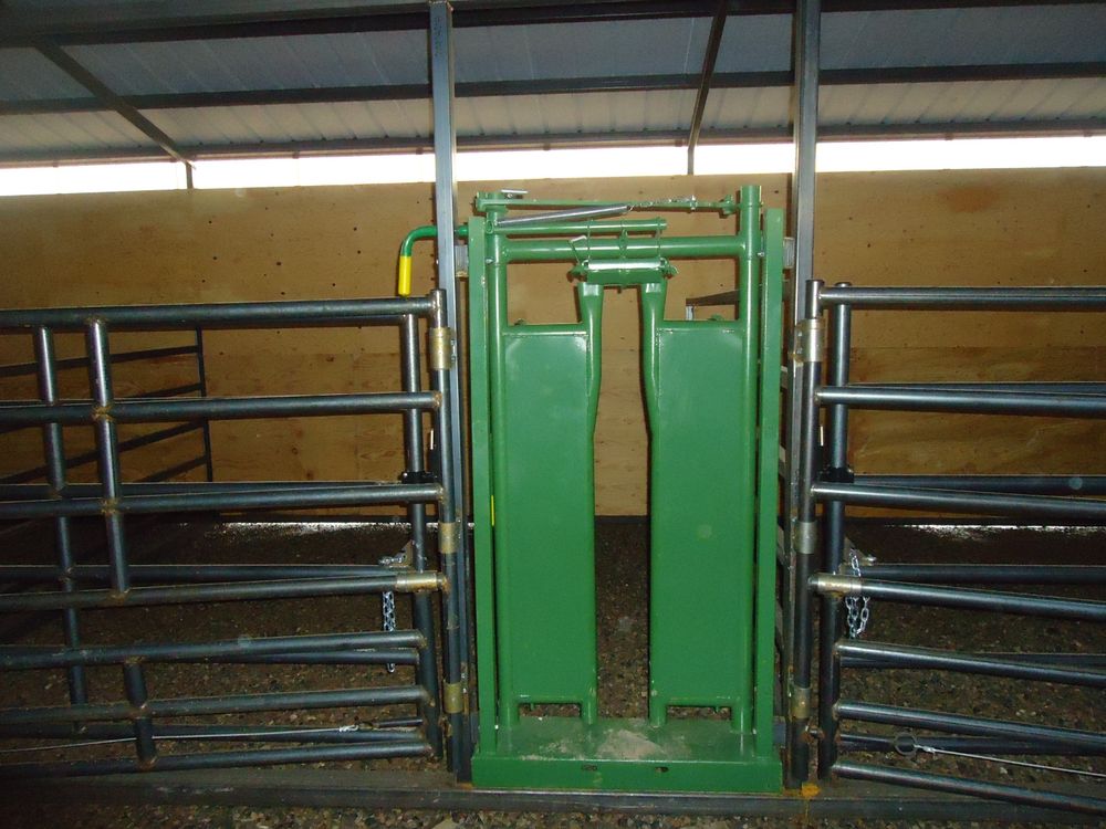 Green Powder River S-1500 self catch head gate mounted at the end of the working alley