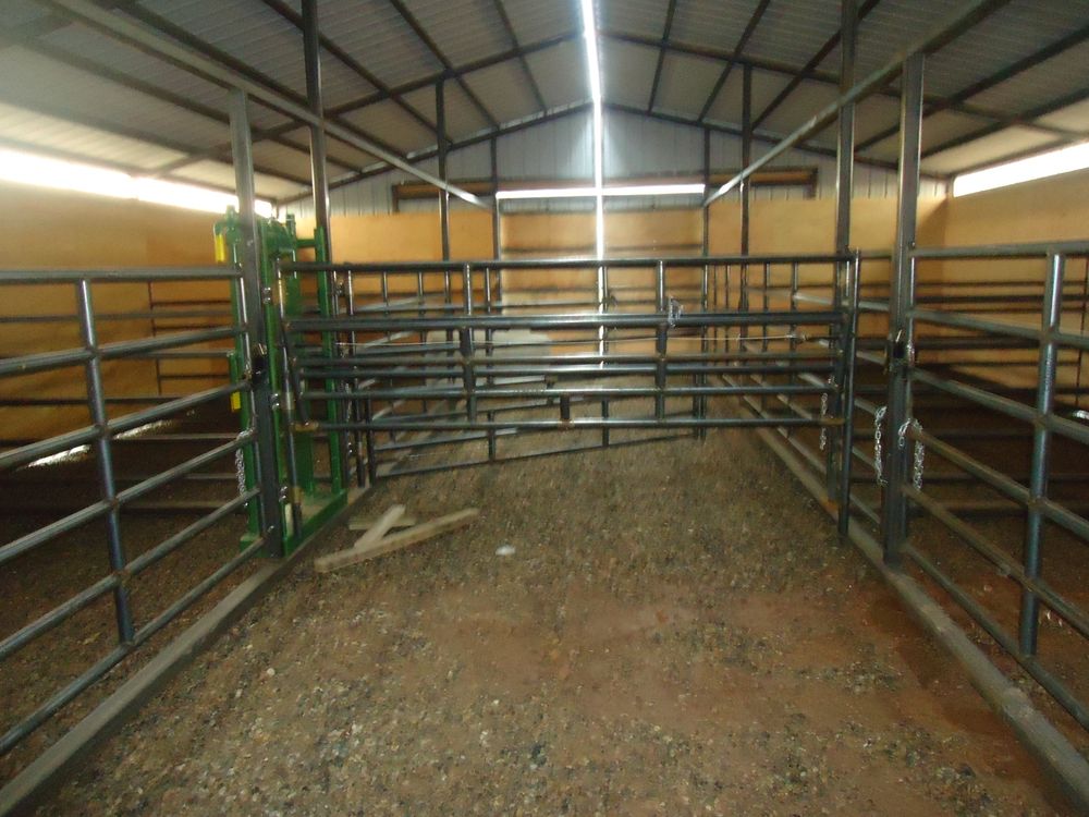 Interior of the calving barn showing heavy duty bull gate pens running the full length under the steel roof